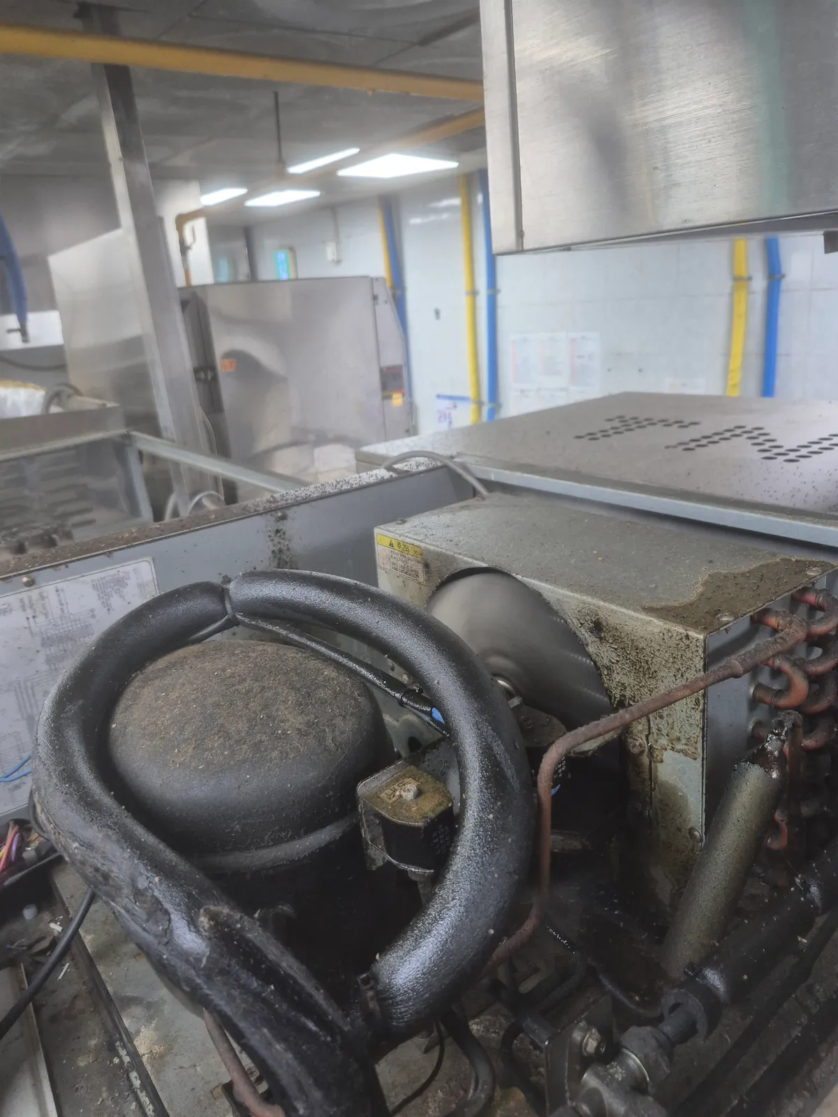대학 구내식당 국카 납품, 냉장고 점검 5번째 사진