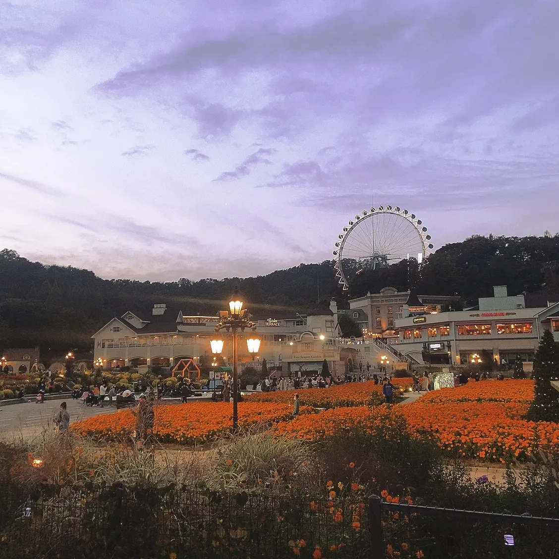 [경기 용인] 에버랜드 가을 그릴 축제 팝업 주방 셋팅 — 007